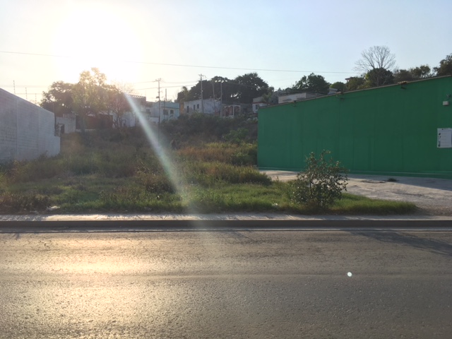 Terreno en Renta   en circuito  Constitucion entre alvaro obregon y calle 29
