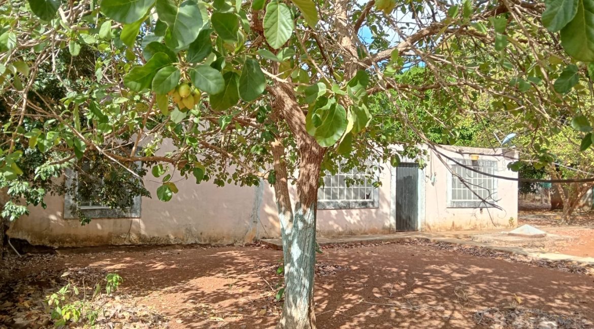 Imagen de WhatsApp 2025-06-09 a las 11.42.35_0346ef3f