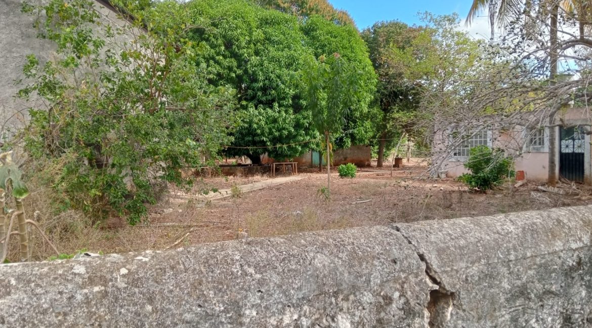 Imagen de WhatsApp 2025-06-09 a las 11.42.35_181d68a7