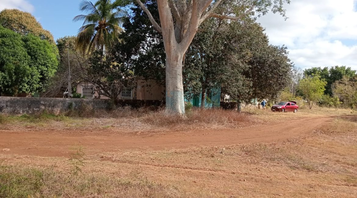 Imagen de WhatsApp 2025-06-09 a las 11.42.35_3cf65a02