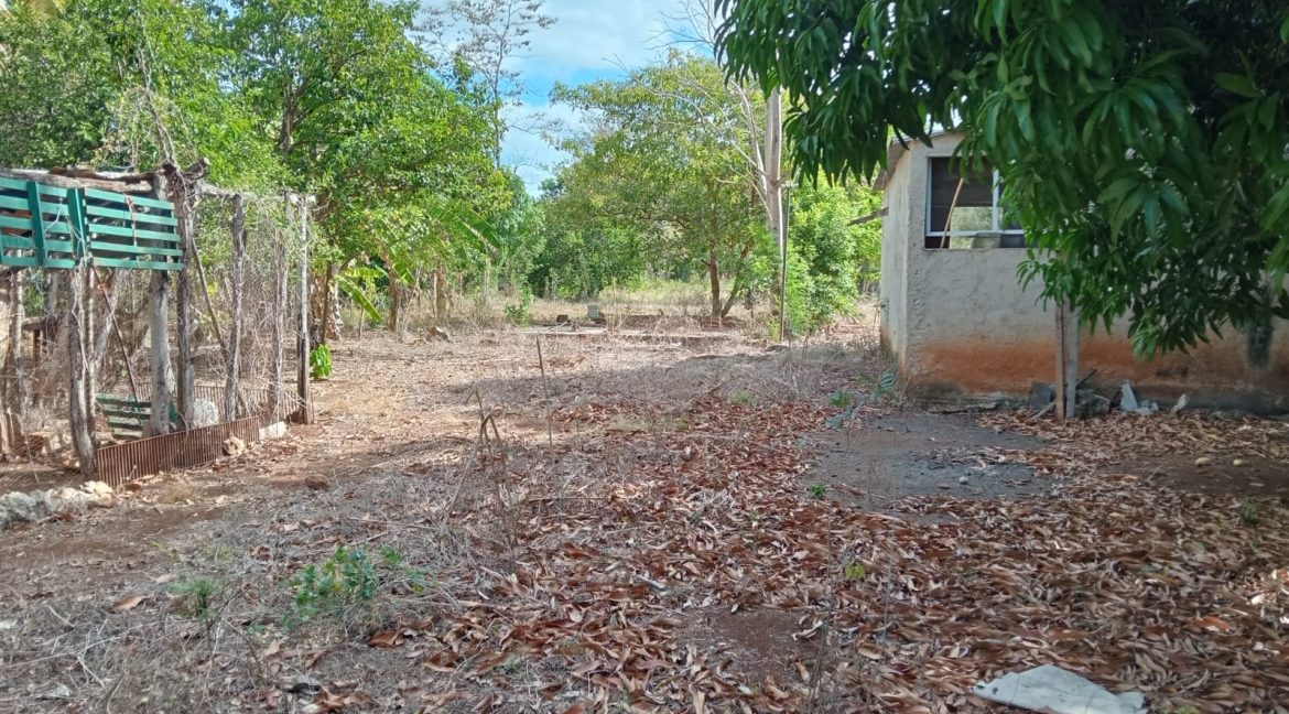 Imagen de WhatsApp 2025-06-09 a las 11.42.36_21daef88