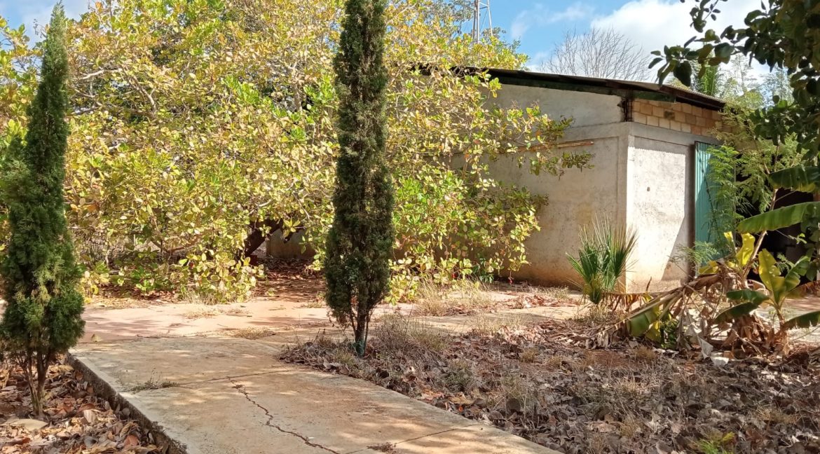 Imagen de WhatsApp 2025-06-09 a las 11.42.36_26bab649