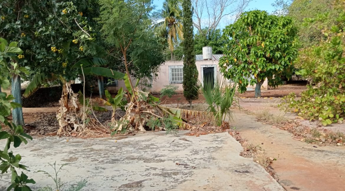 Imagen de WhatsApp 2025-06-09 a las 11.42.36_4a5db2ab