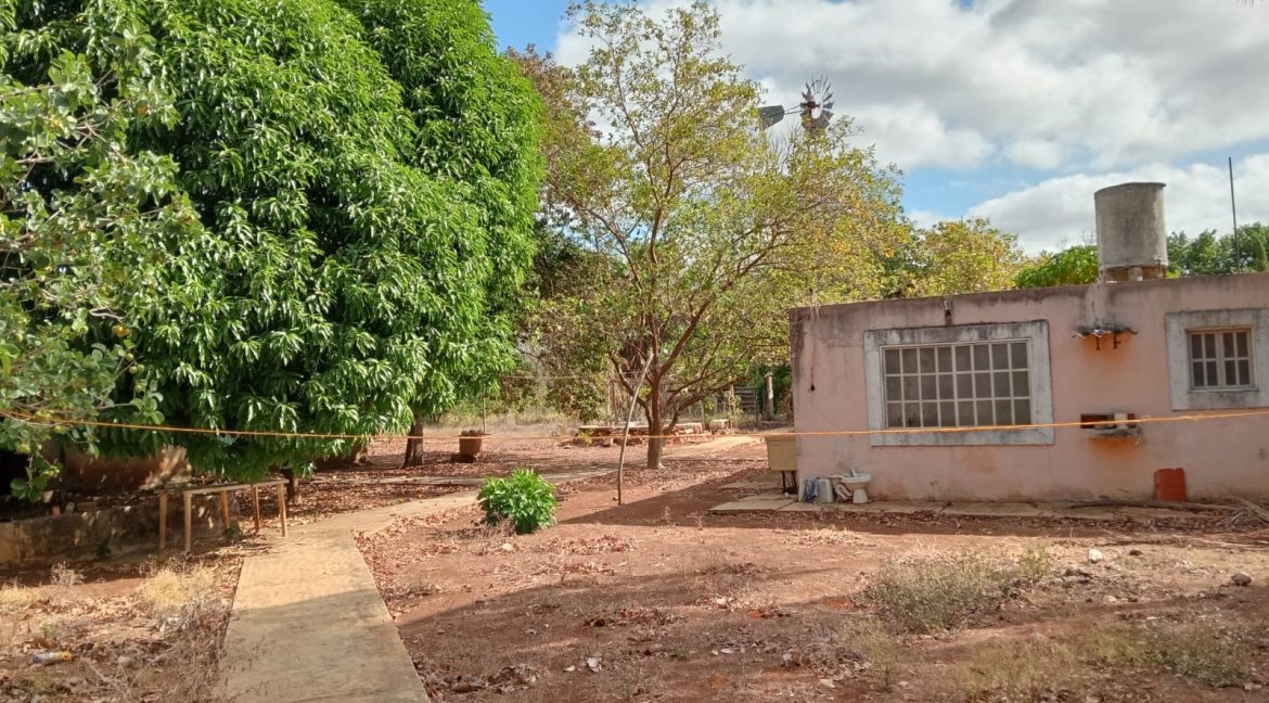 Imagen de WhatsApp 2025-06-09 a las 11.42.36_9b5a8ca9