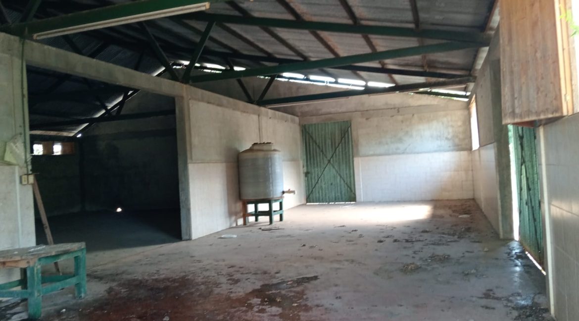 Imagen de WhatsApp 2025-06-09 a las 11.42.37_3e6085b0