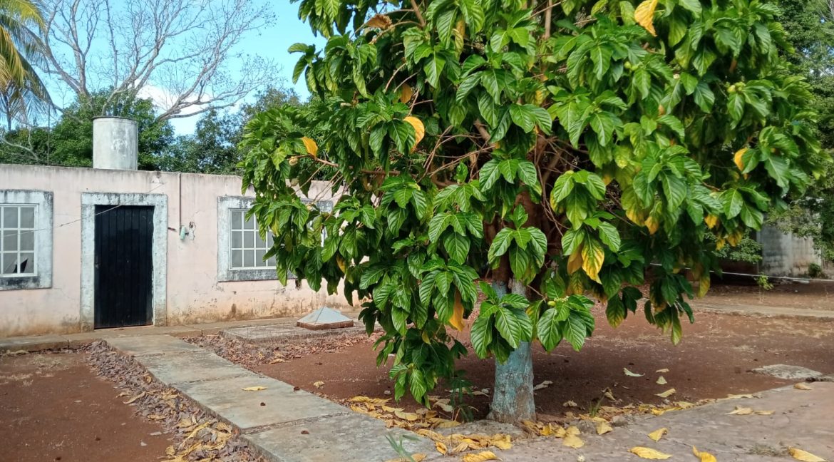 Imagen de WhatsApp 2025-06-09 a las 11.42.37_64d4535c