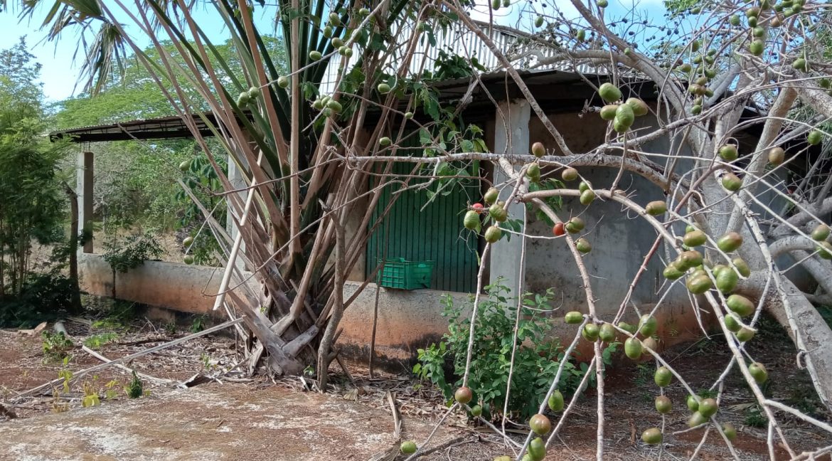 Imagen de WhatsApp 2025-06-09 a las 11.42.37_651b45e9