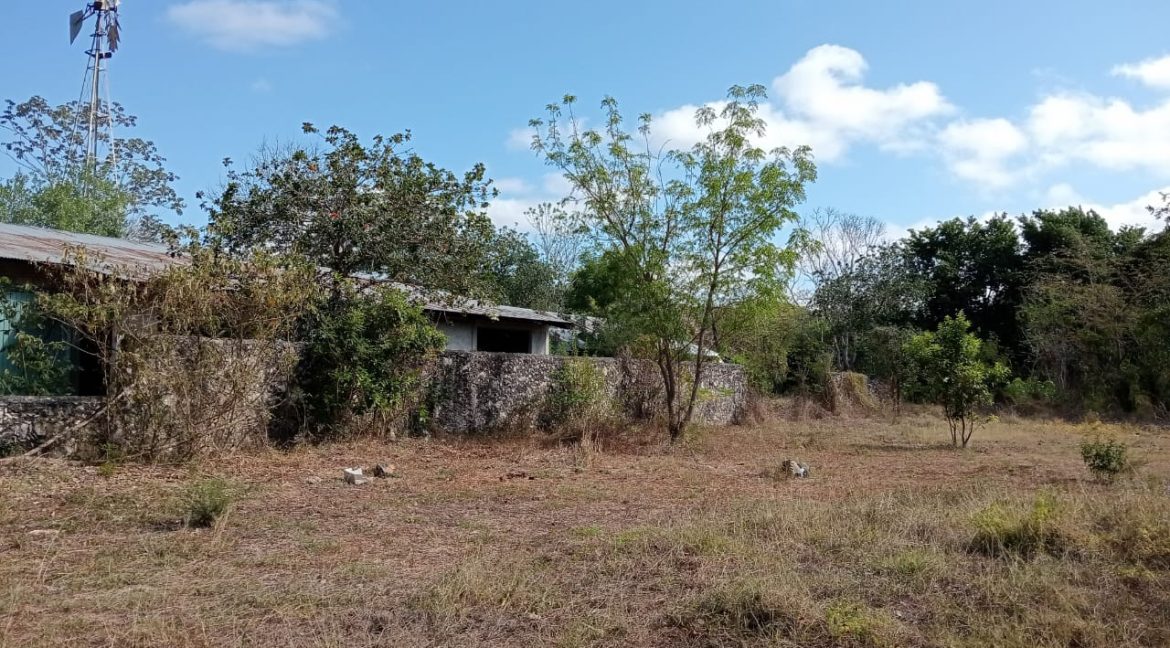 Imagen de WhatsApp 2025-06-09 a las 11.42.37_9f5680ec