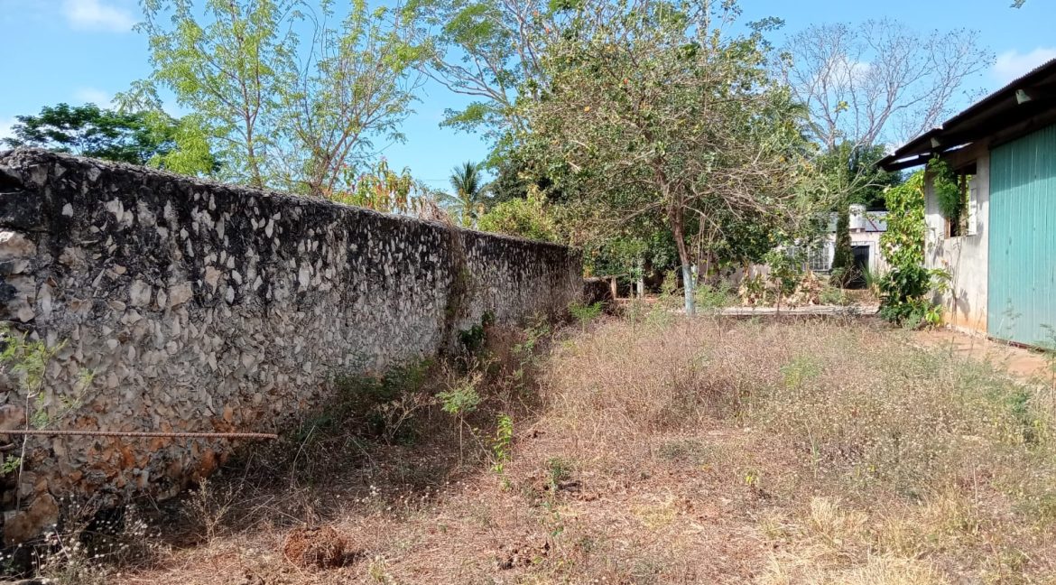 Imagen de WhatsApp 2025-06-09 a las 11.42.37_c76fe57d