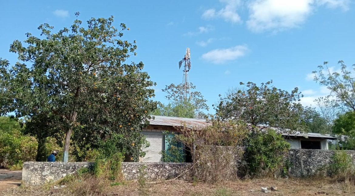 Imagen de WhatsApp 2025-06-09 a las 11.42.38_1ea93590