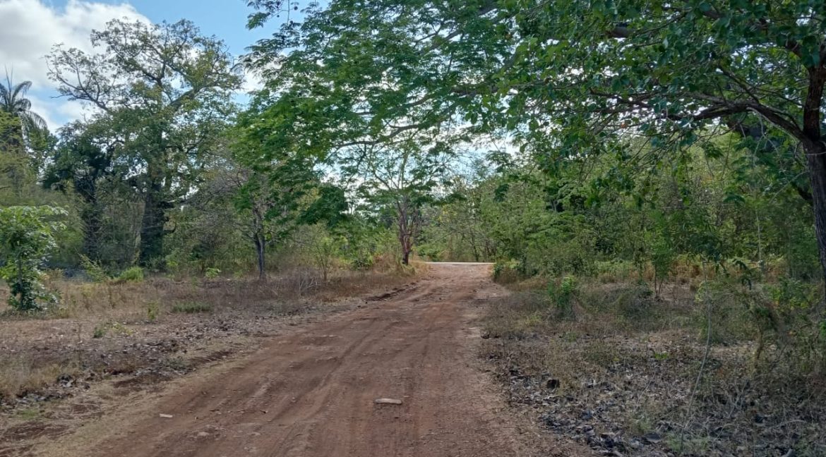 Imagen de WhatsApp 2025-06-09 a las 11.42.38_e5b65958