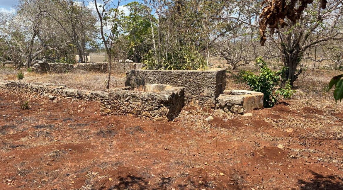 Imagen de WhatsApp 2025-06-09 a las 12.03.52_5a296ebd