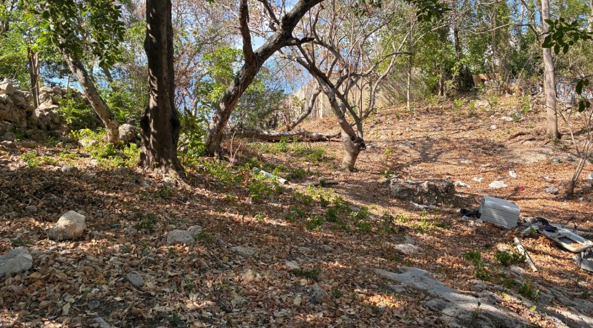 Imagen de WhatsApp 2025-06-16 a las 13.48.43_9187e46b