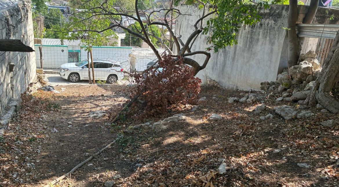 Imagen de WhatsApp 2025-06-16 a las 13.48.44_51c6bf38