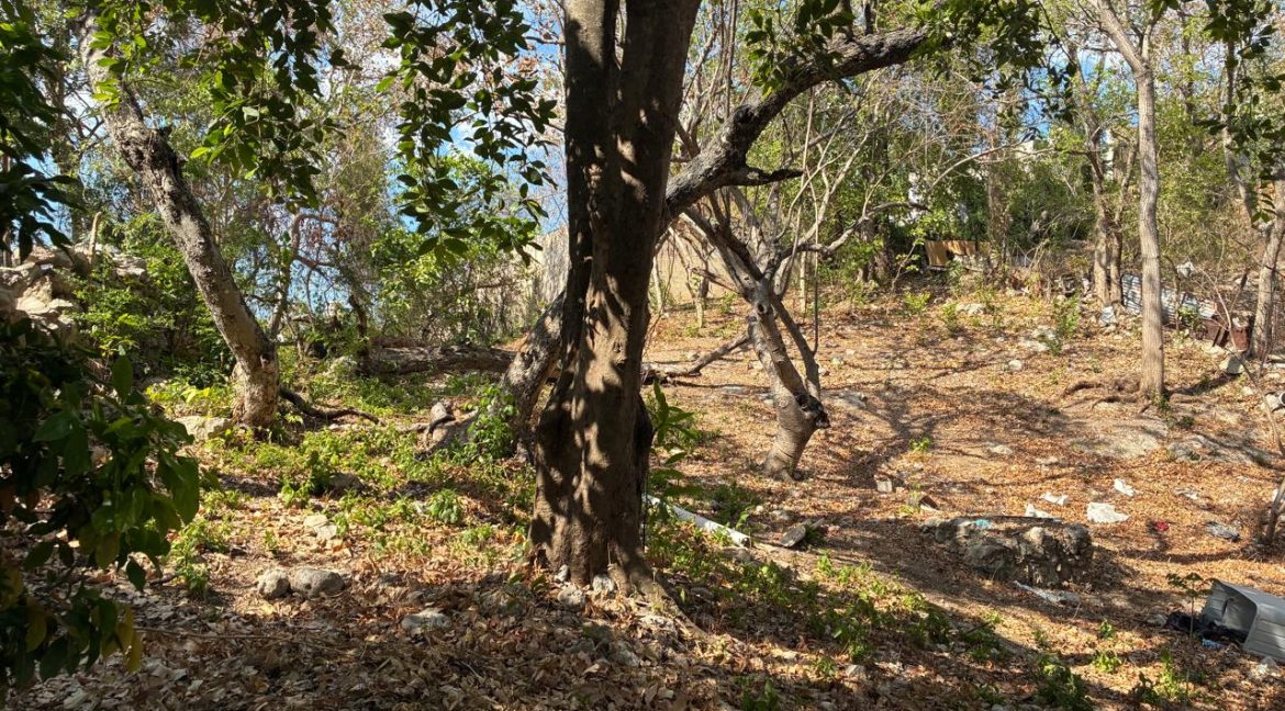 Imagen de WhatsApp 2025-06-16 a las 13.48.44_5e1af225