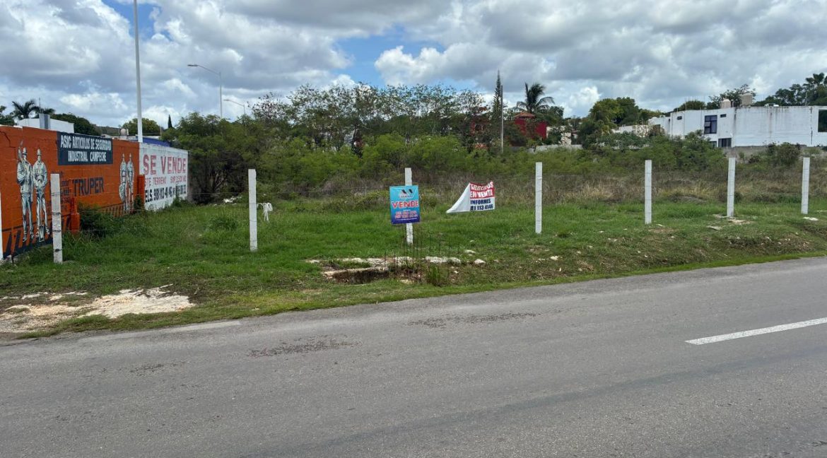 Imagen de WhatsApp 2025-06-26 a las 13.53.22_a416ceac