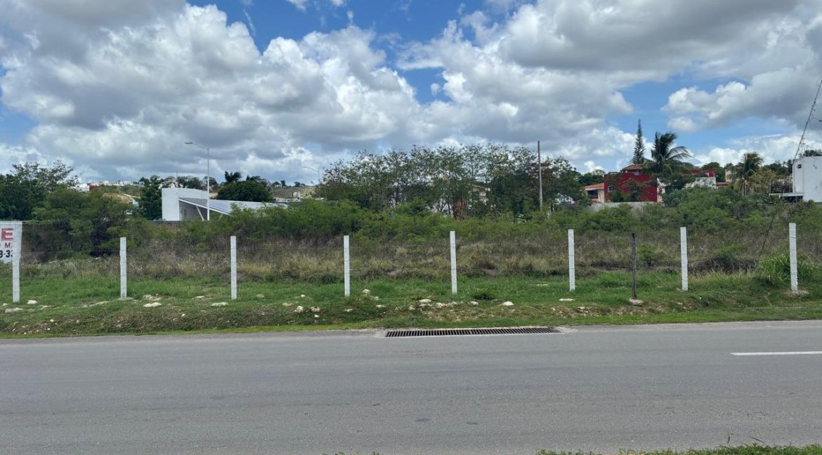 Imagen de WhatsApp 2025-06-26 a las 13.53.22_b0cafd62