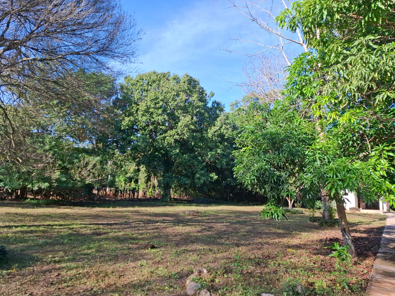 VENTA Terreno en Xcampeu Campeche