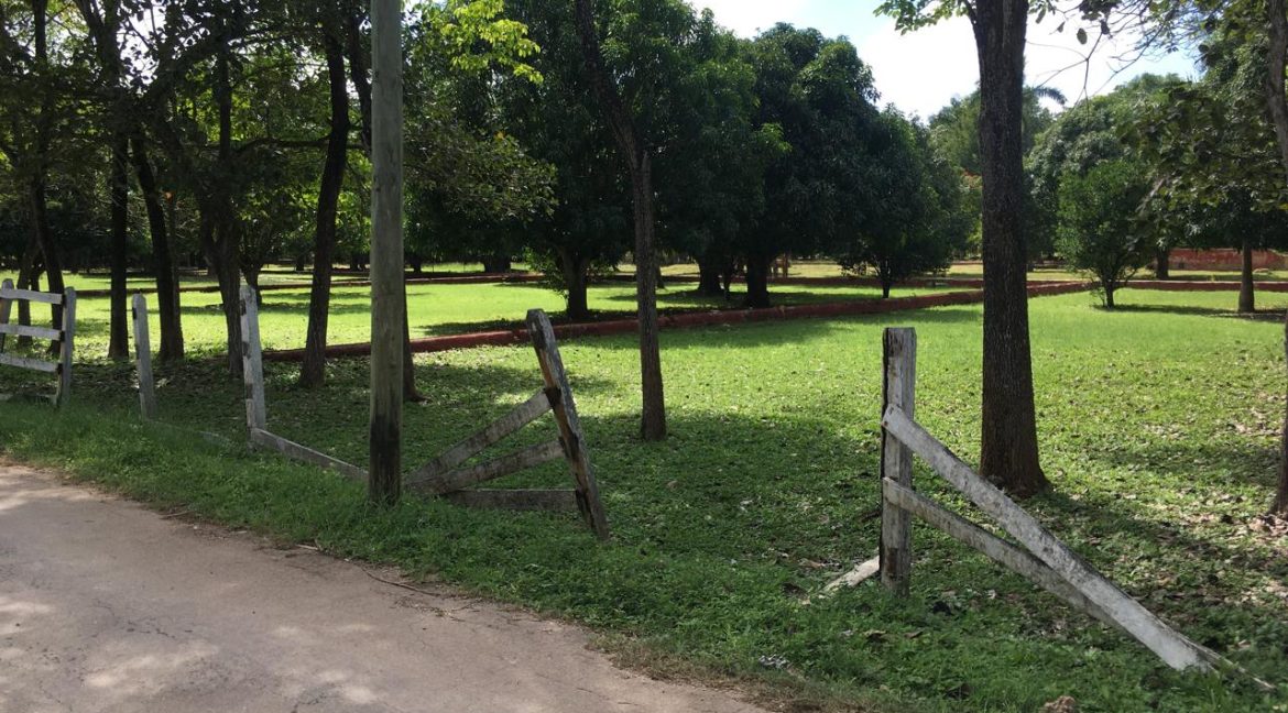 Imagen de WhatsApp 2025-09-11 a las 12.37.32_719a9ccb