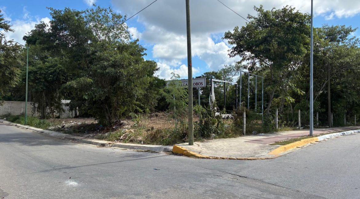 Imagen de WhatsApp 2025-10-18 a las 17.53.08_c01a4056