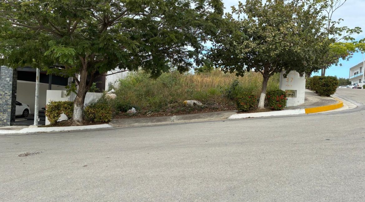 WhatsApp Image 2026-02-18 at 11.37.34