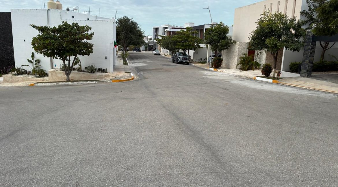 WhatsApp Image 2026-02-18 at 11.37.342