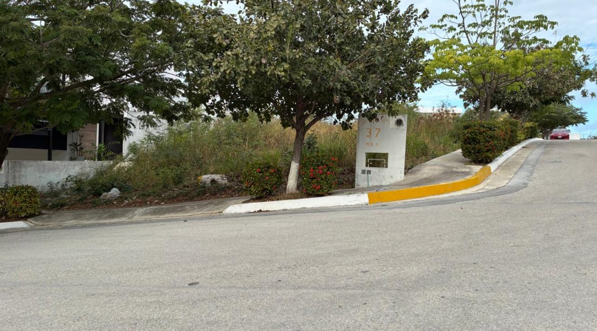 WhatsApp Image 2026-02-18 at 11.37.343